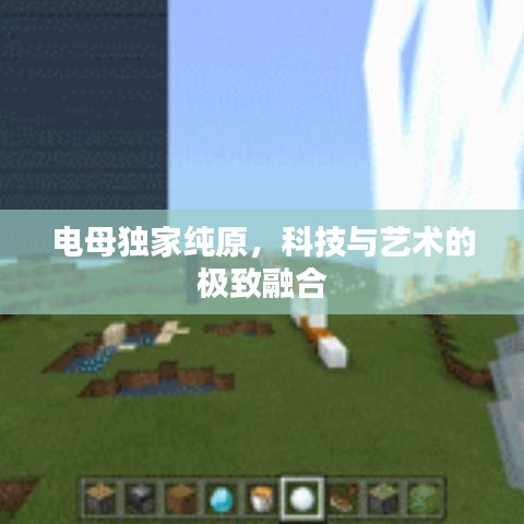 电母独家纯原，科技与艺术的极致融合