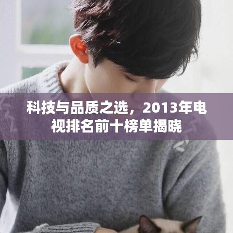 科技与品质之选，2013年电视排名前十榜单揭晓