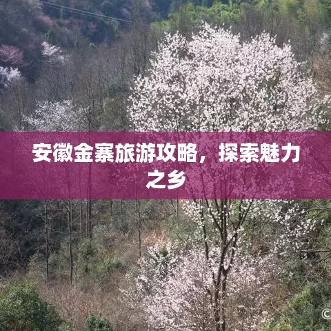安徽金寨旅游攻略,探索魅力之乡