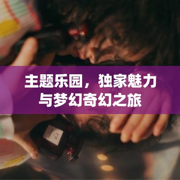 主题乐园,独家魅力与梦幻奇幻之旅