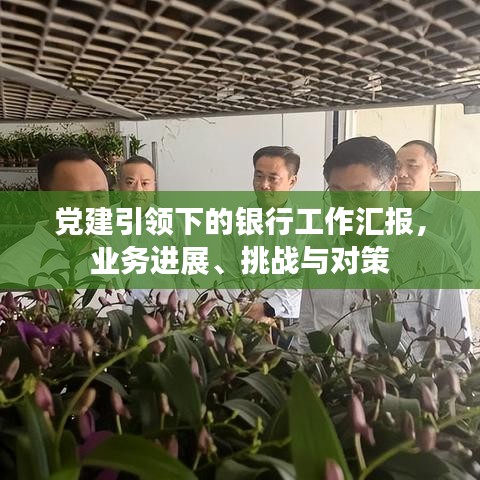 党建引领下的银行工作汇报,业务进展、挑战与对策