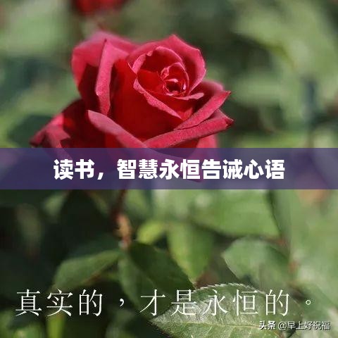 读书,智慧永恒告诫心语