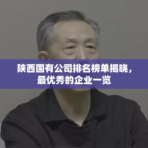 陕西国有公司排名榜单揭晓,最优秀的企业一览