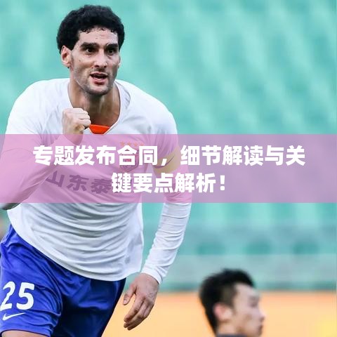 专题发布合同，细节解读与关键要点解析！