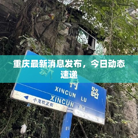 重庆最新消息发布,今日动态速递