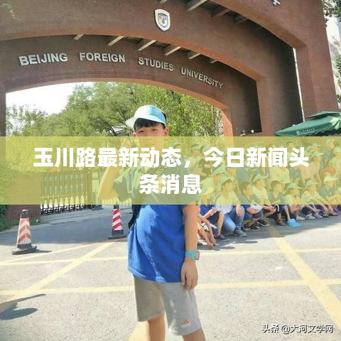 玉川路最新动态,今日新闻头条消息