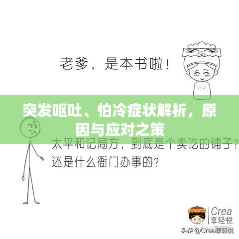 突发呕吐、怕冷症状解析,原因与应对之策