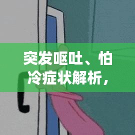 突发呕吐、怕冷症状解析,原因与应对之策