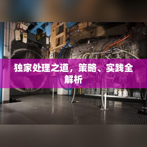 独家处理之道,策略、实践全解析