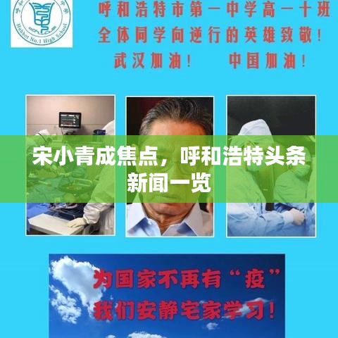 宋小青成焦点,呼和浩特头条新闻一览