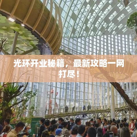 光环开业秘籍,最新攻略一网打尽!