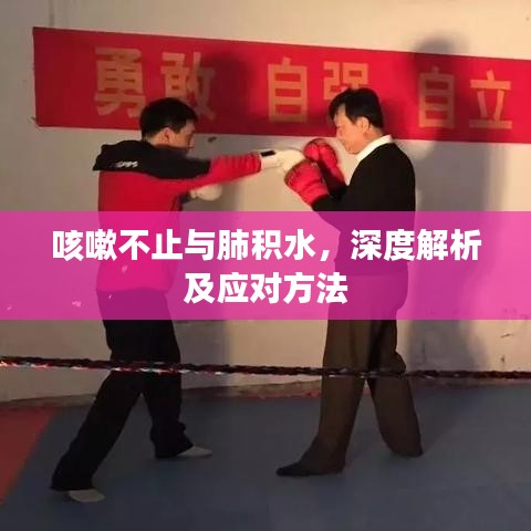 咳嗽不止与肺积水,深度解析及应对方法