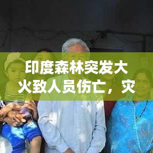 印度森林突发大火致人员伤亡,灾难现场曝光,紧急救援进行中