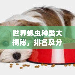 世界蜱虫种类大揭秘，排名及分布全解析