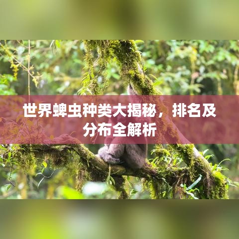 世界蜱虫种类大揭秘,排名及分布全解析