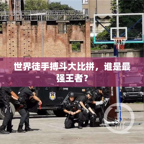 世界徒手搏斗大比拼，谁是最强王者？