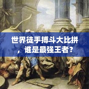 世界徒手搏斗大比拼,谁是最强王者?