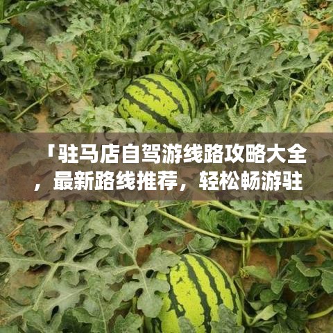 「驻马店自驾游线路攻略大全，最新路线推荐，轻松畅游驻马店！」