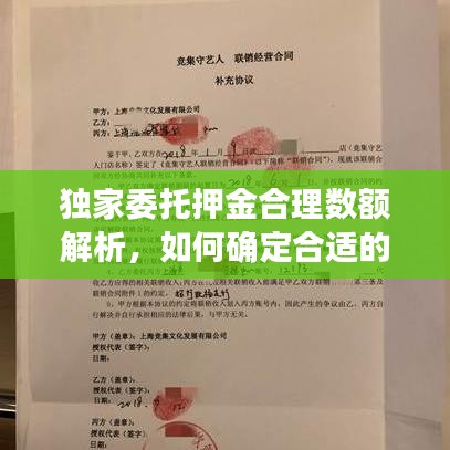 独家委托押金合理数额解析，如何确定合适的押金标准？
