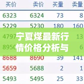 宁夏煤最新行情价格分析与趋势预测