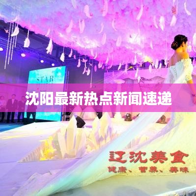 沈阳最新热点新闻速递