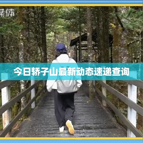 今日轿子山最新动态速递查询