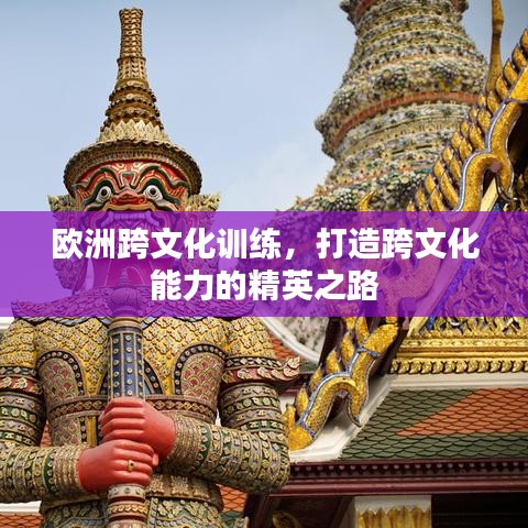 欧洲跨文化训练，打造跨文化能力的精英之路