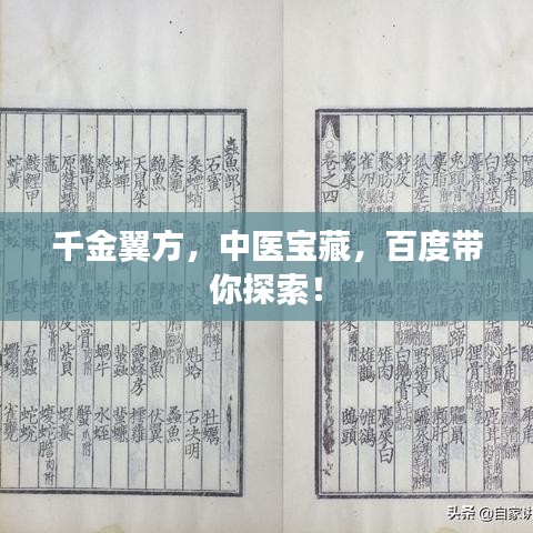 千金翼方,中医宝藏,百度带你探索!