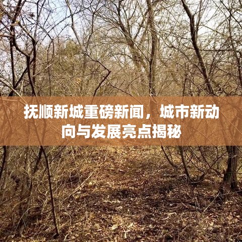 抚顺新城重磅新闻,城市新动向与发展亮点揭秘