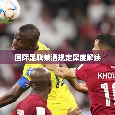 国际足联禁酒规定深度解读