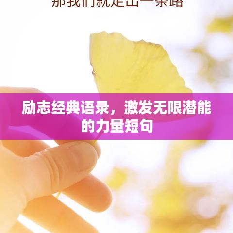 励志经典语录，激发无限潜能的力量短句