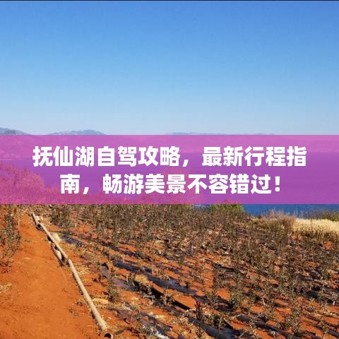 抚仙湖自驾攻略,最新行程指南,畅游美景不容错过!