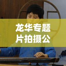 龙华专题片拍摄公司,捕捉城市魅力的视觉艺术专家