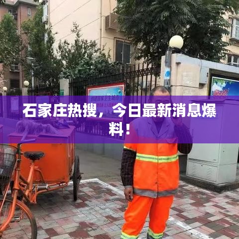 石家庄热搜,今日最新消息爆料!
