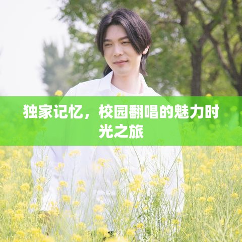 独家记忆,校园翻唱的魅力时光之旅