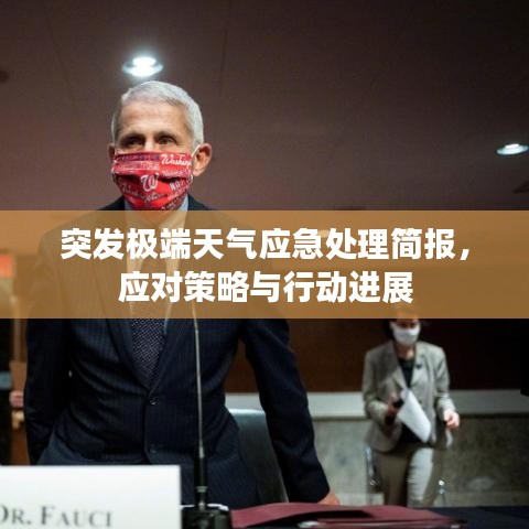 突发极端天气应急处理简报,应对策略与行动进展