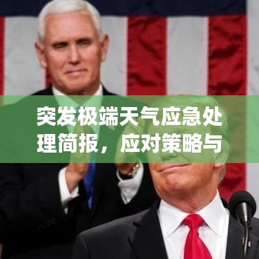 突发极端天气应急处理简报,应对策略与行动进展