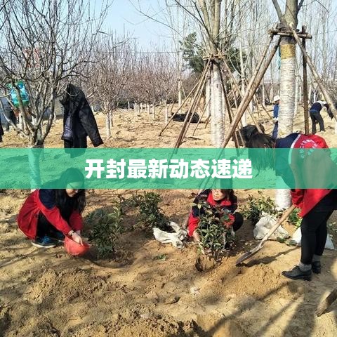 开封最新动态速递