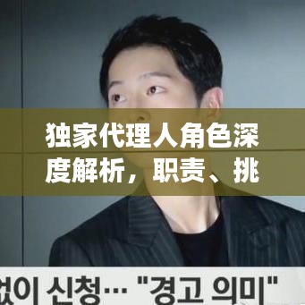 独家代理人角色深度解析,职责、挑战与独到之处