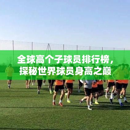 全球高个子球员排行榜,探秘世界球员身高之巅