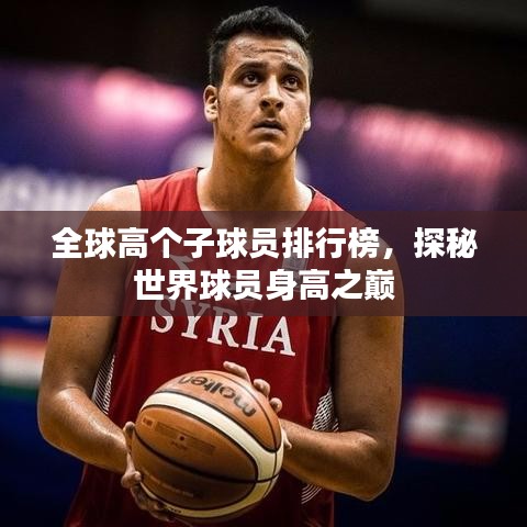 全球高个子球员排行榜,探秘世界球员身高之巅
