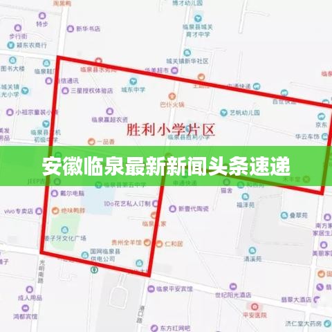 安徽临泉最新新闻头条速递