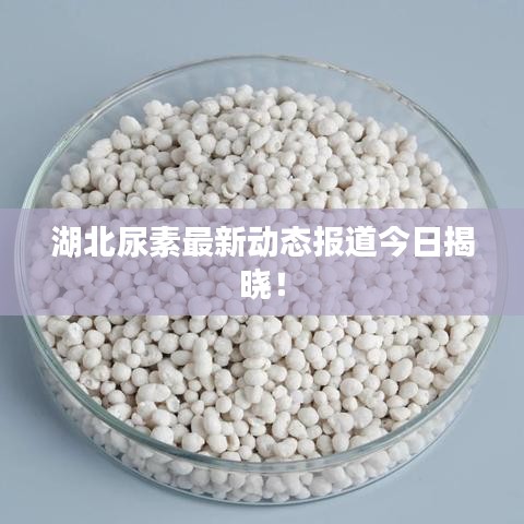 湖北尿素最新动态报道今日揭晓!