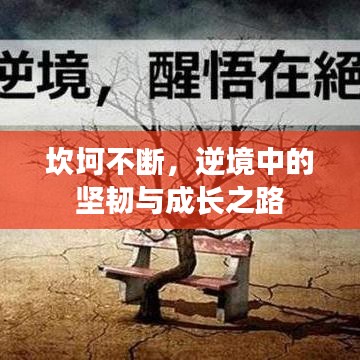 坎坷不断，逆境中的坚韧与成长之路