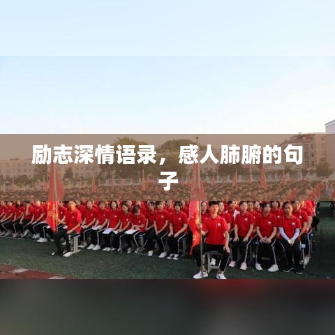 励志深情语录,感人肺腑的句子