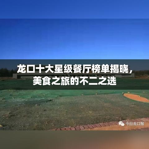 龙口十大星级餐厅榜单揭晓,美食之旅的不二之选