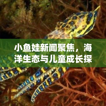 小鱼娃新闻聚焦，海洋生态与儿童成长探索