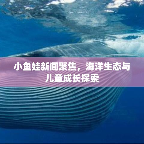 小鱼娃新闻聚焦,海洋生态与儿童成长探索