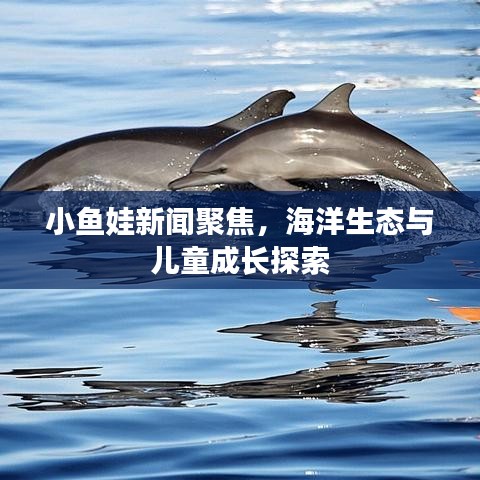小鱼娃新闻聚焦,海洋生态与儿童成长探索