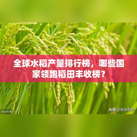 全球水稻产量排行榜,哪些国家领跑稻田丰收榜?